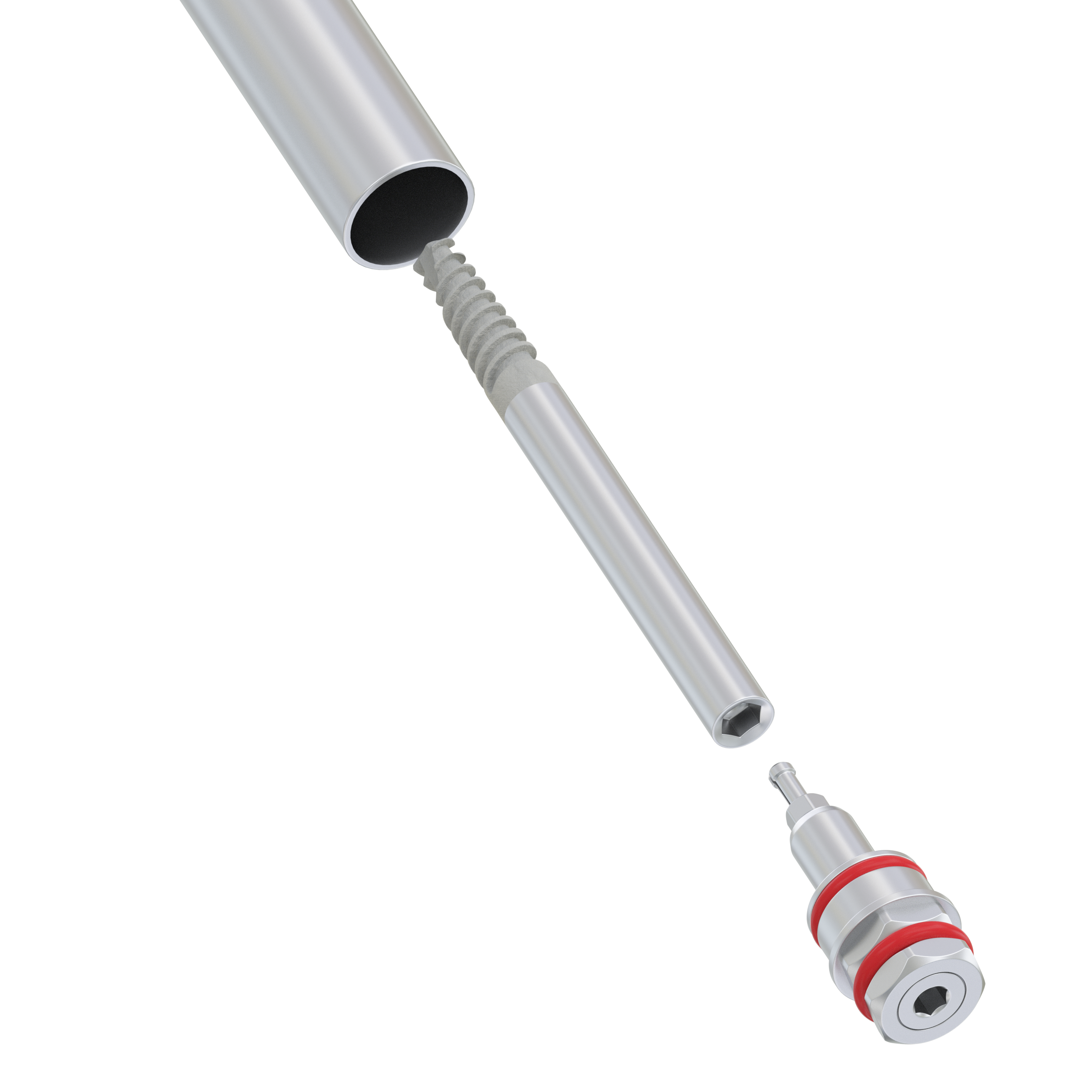 DSZygo Zygomatic Implant