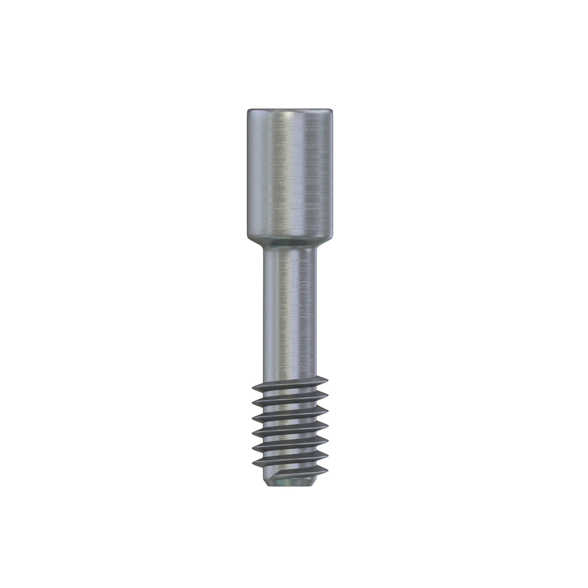 Abutment Fixation Screw CC NP