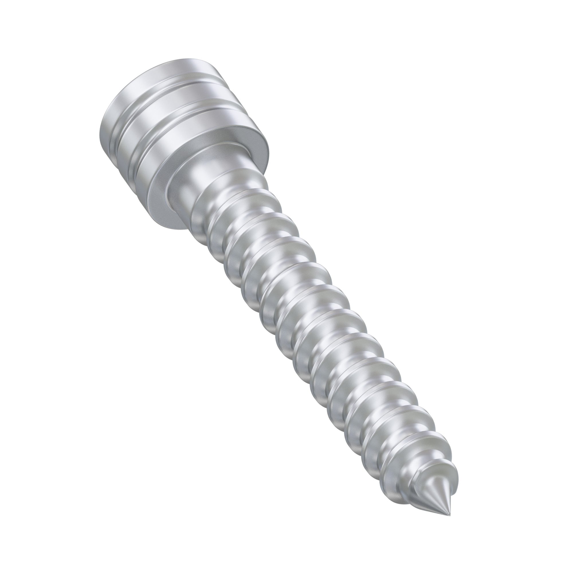 DSI Anchor Fixation Screw For Surgical Guide Appliance Stabilization