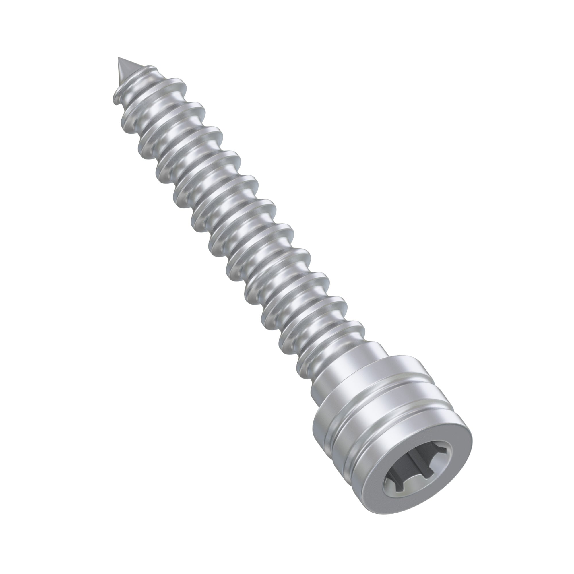 DSI Anchor Fixation Screw For Surgical Guide Appliance Stabilization