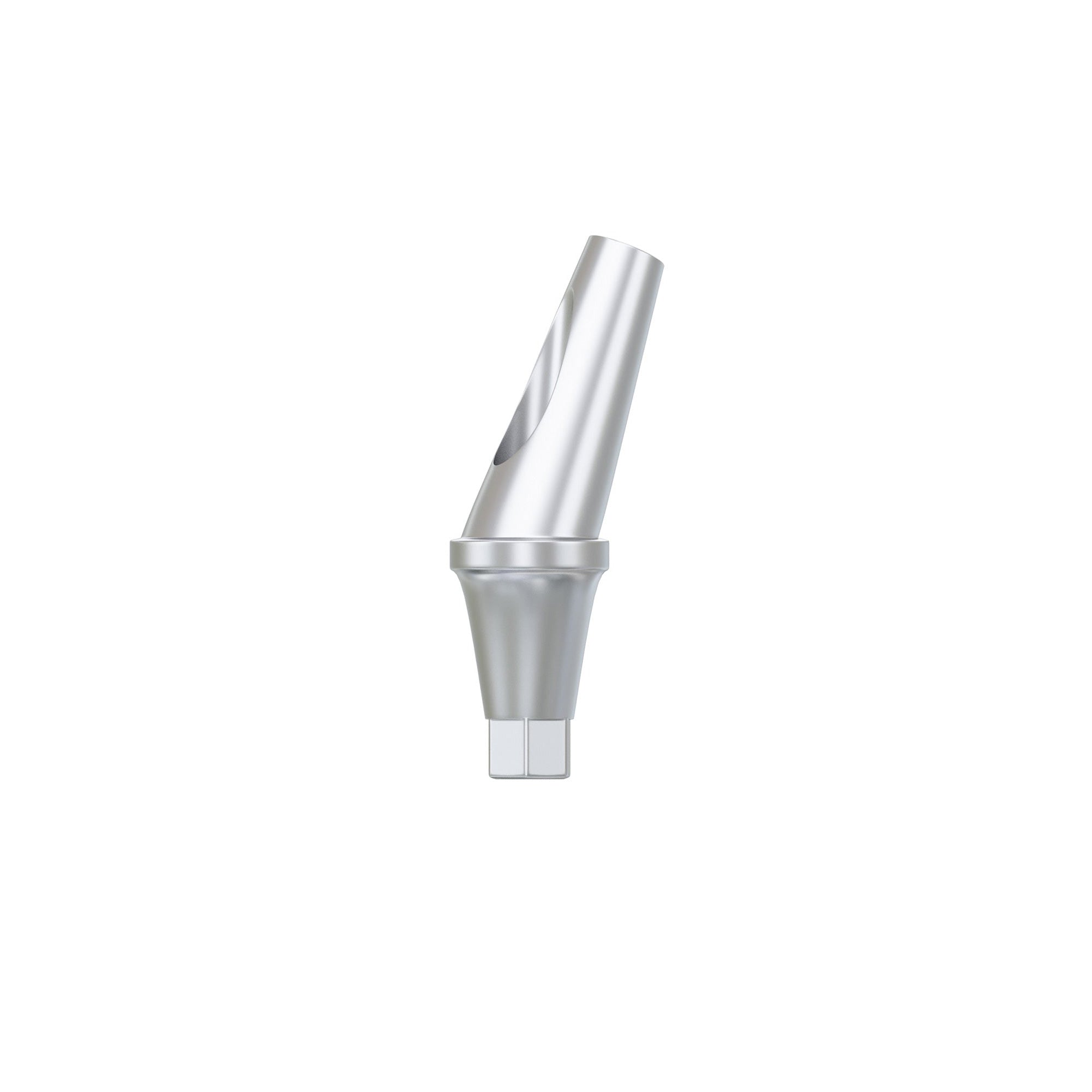 Anatomic Angulated Abutment 17°