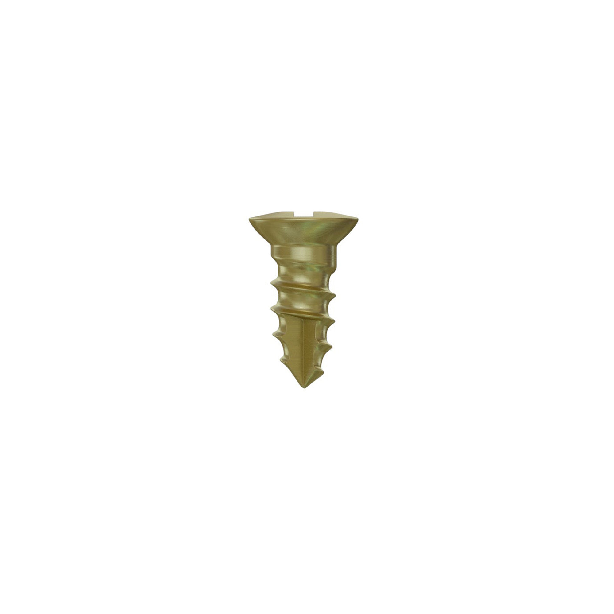 GBR Bone Screw Ø1.6mm