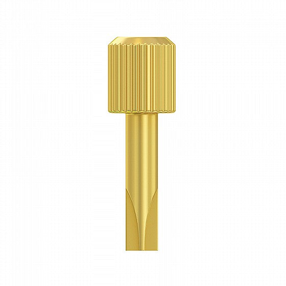 Dentatus Golden Metal Key