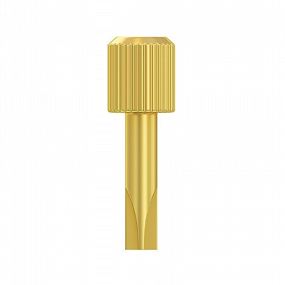 Dentatus Golden Metal Key