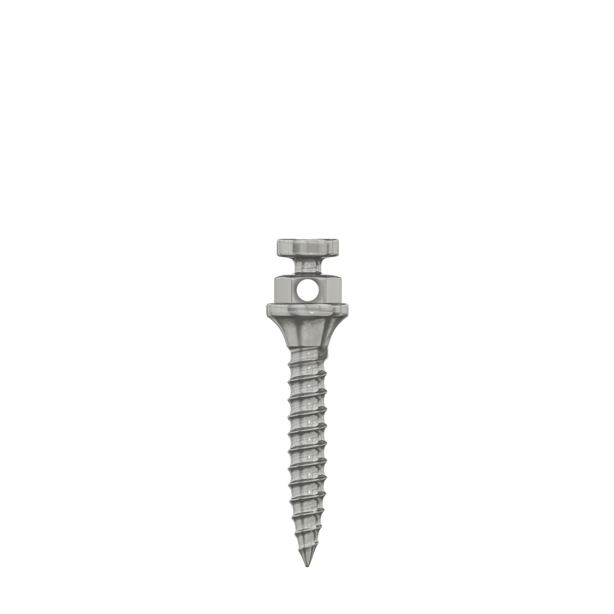 DSI TAD Miniscrew Orthodontic Implant Titanium Standard Ø1.5mm