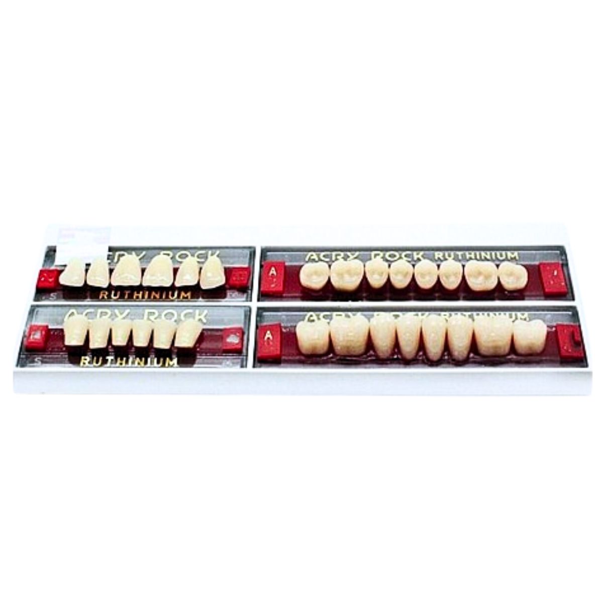 Ruthinium Artificial Acrylic Teeth 28pcs Set C2