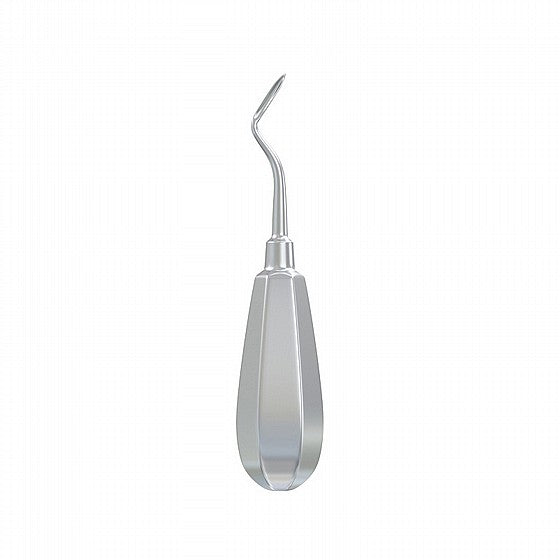Root Elevator Flohr Teeth Extraction
