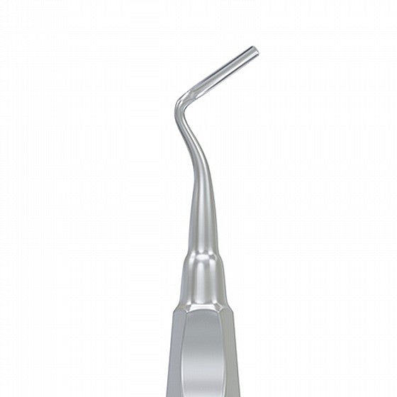 Apical Root Elevator Removal Teeth Extraction