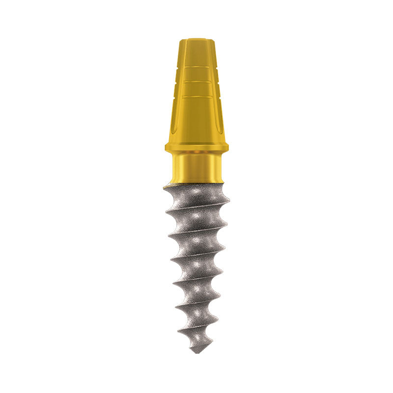 One-Piece Root-shaped Implant