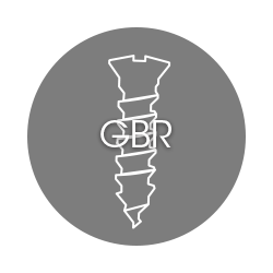 Guided Bone Regeneration (GBR)