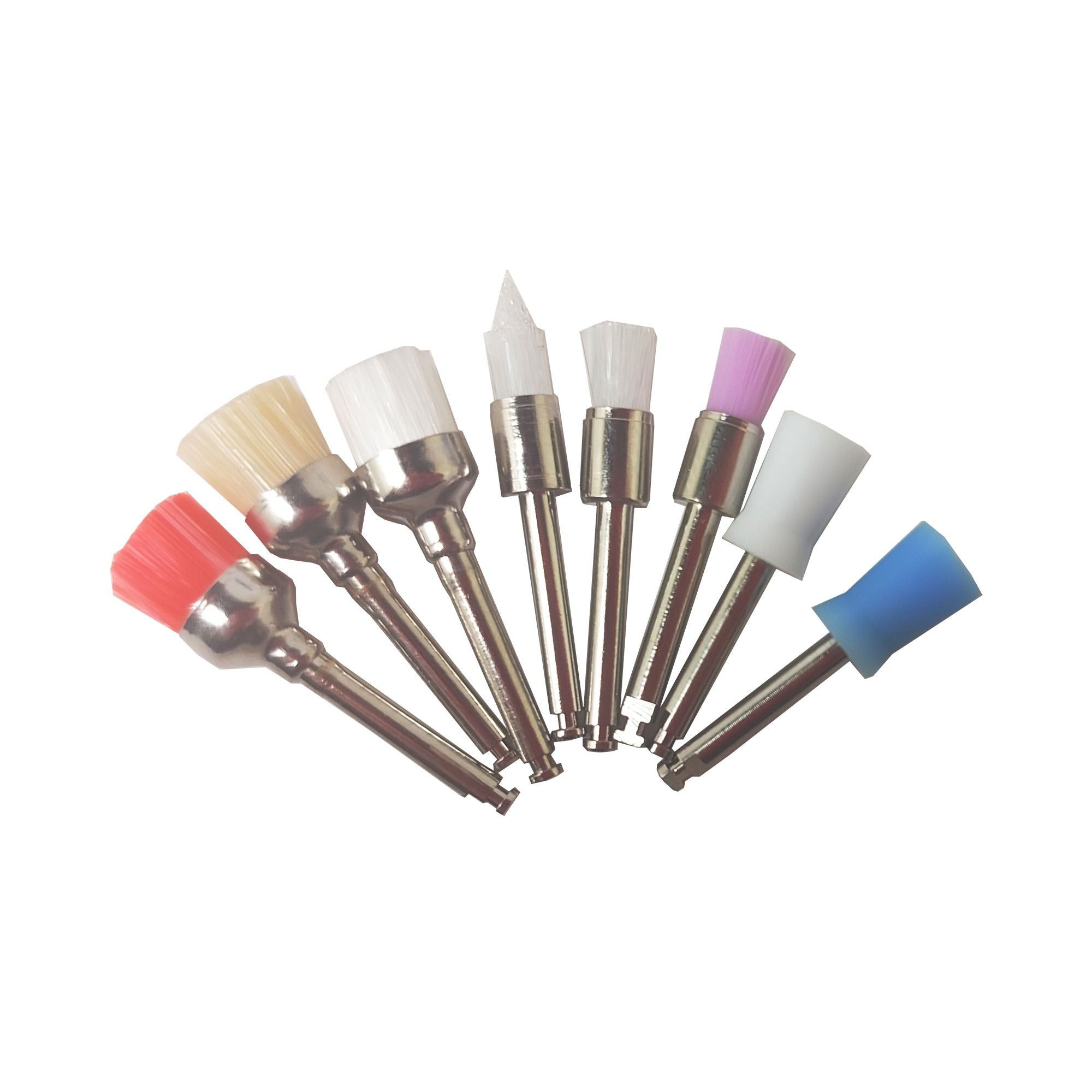 Professional Prophy Brush Set - 100 Pieces