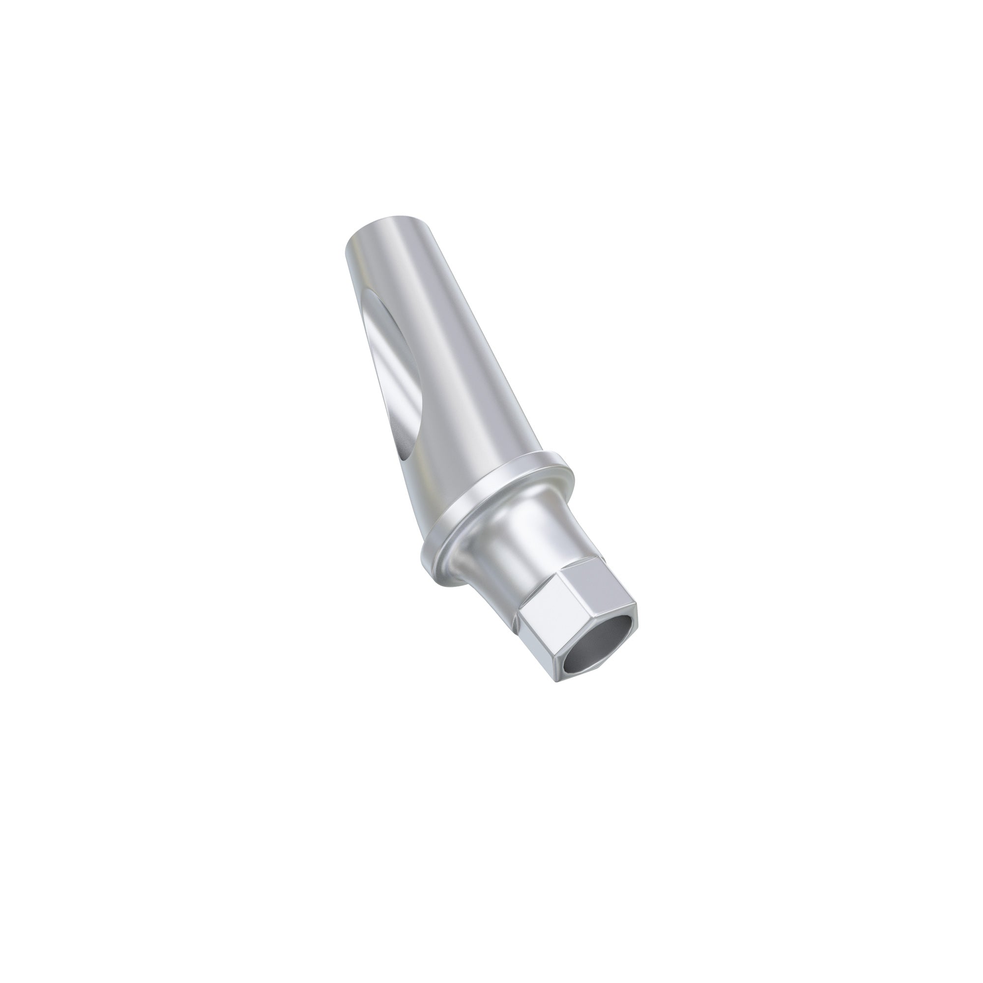 DSI Anatomic Angulated Abutment 17° Osstem TS / Hiossen ET Regular Platform