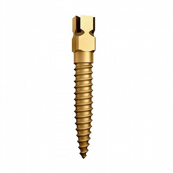 Dentatus Golden Metal Screw 12/pk