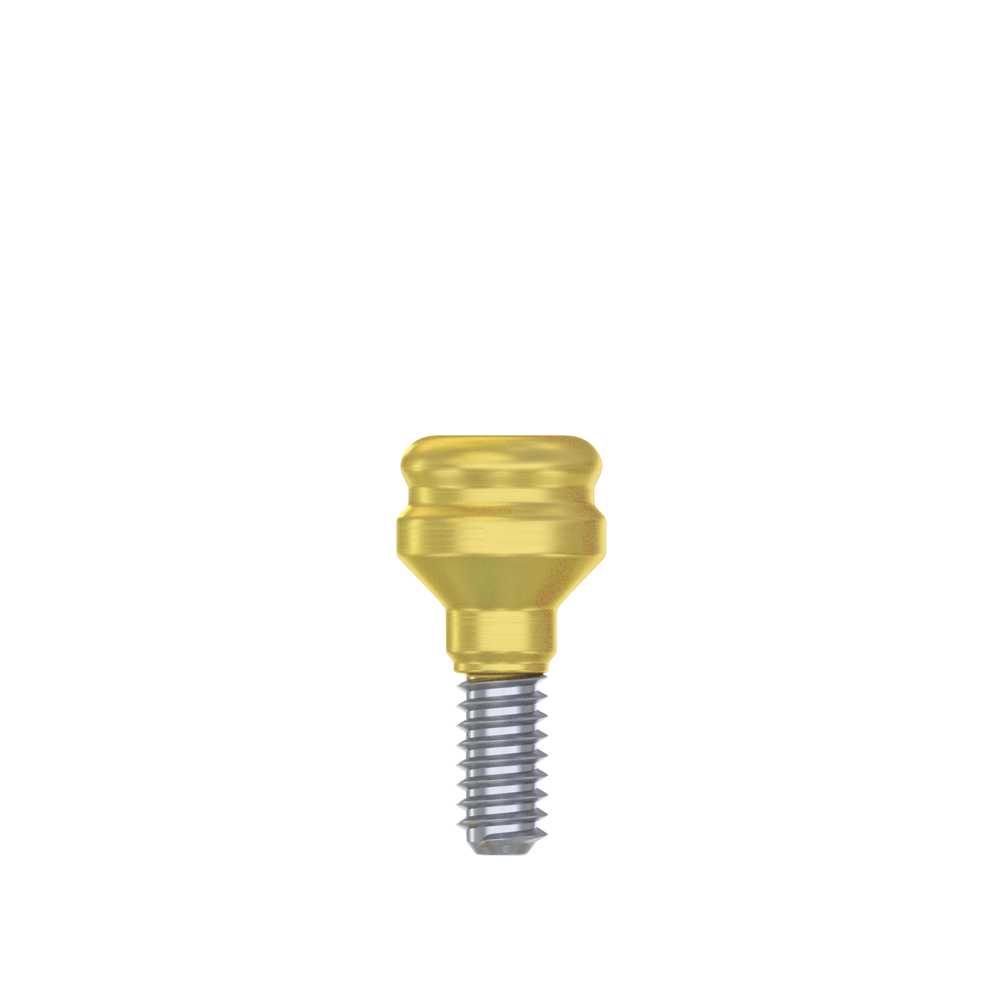 DSI  Straight Loc-in Abutment 3.75mm  FULL SET- Internal Hex Ø2.42mm