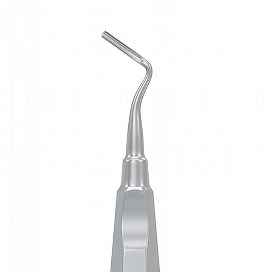 Apical Root Elevator Removal Teeth Extraction